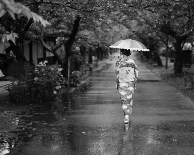 和服姿の女性が傘を差しながら歩くうしろ姿